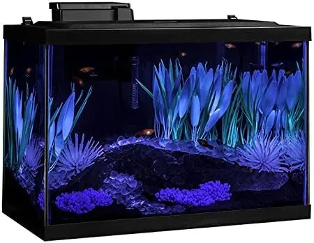 Premium Aquarium Kit With LED Lighting And Decor System