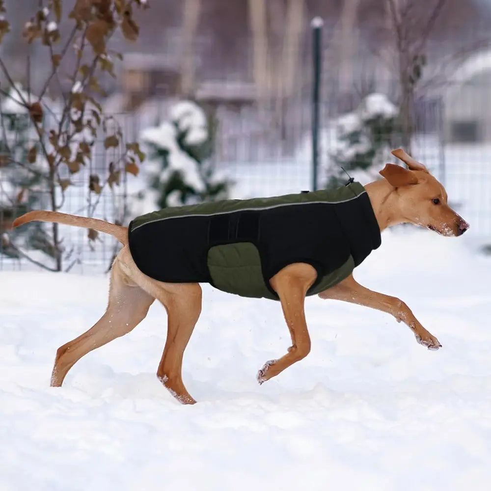 Durable Reflective Winter Dog Coat For Great Danes