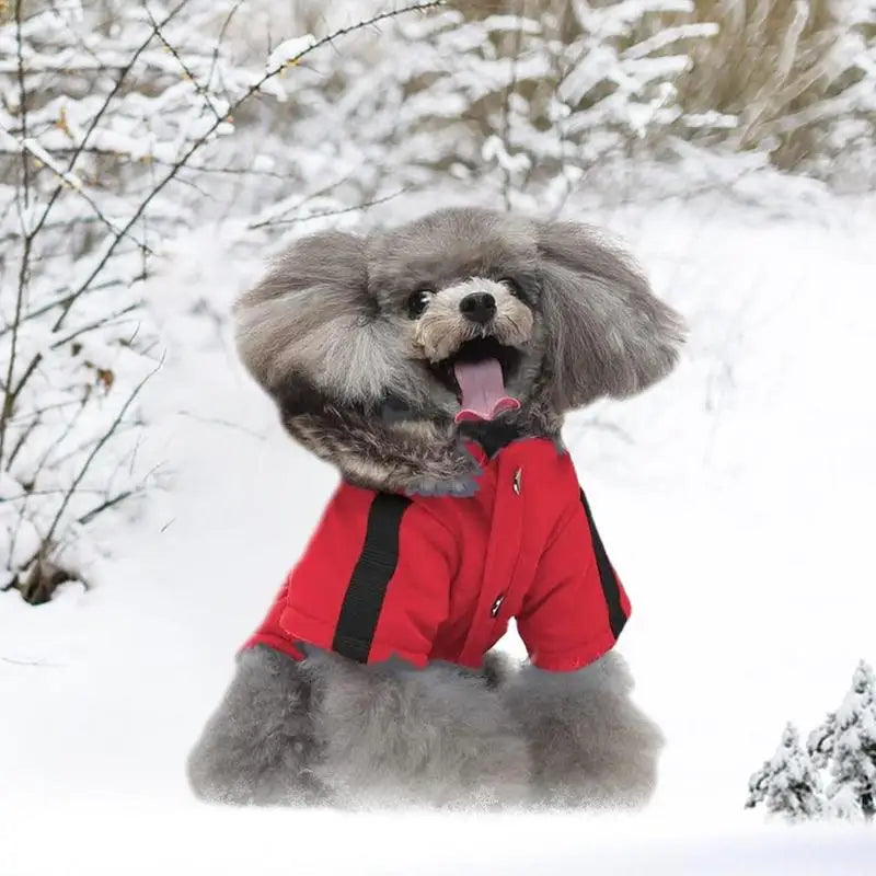 Pet Down Jacket Hoodie Coat For Dogs Warm Winter Outerwear