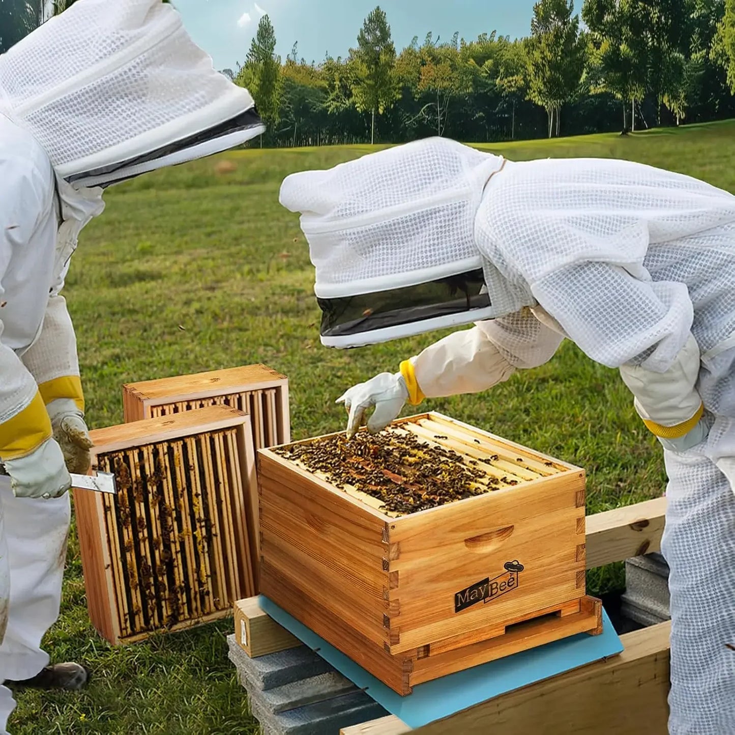 Langstroth 10 Frame Beehive Starter Kit Beeswax Dipped 2 Boxes