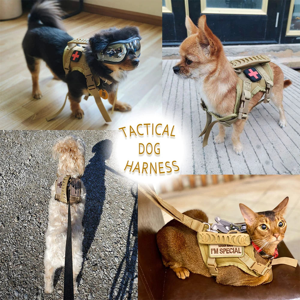 PETRAVELCN Tactical Puppy Harness Leash Set For Small Dogs Adjustable