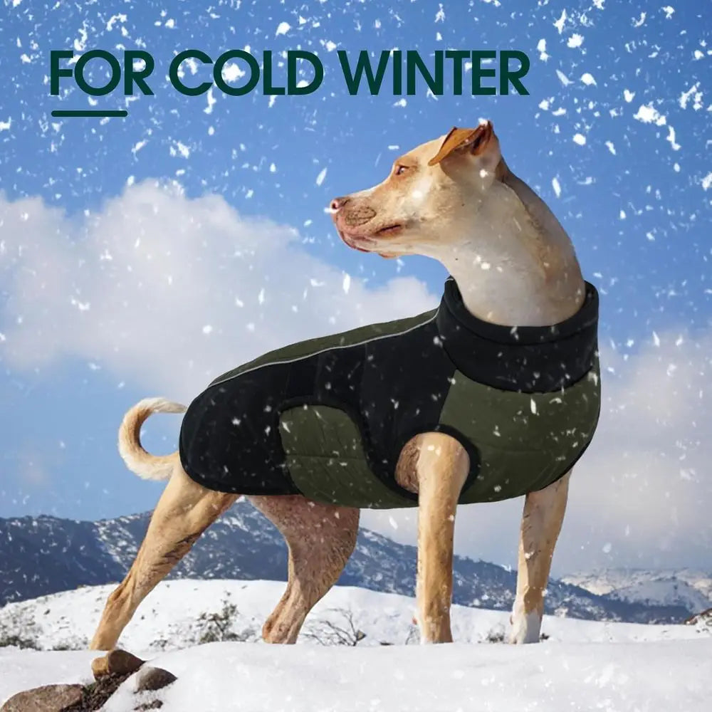Durable Reflective Winter Dog Coat For Great Danes