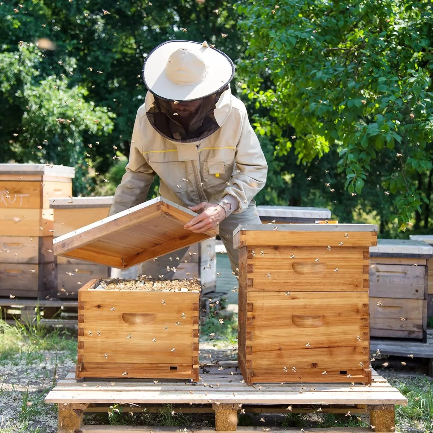 Complete Beehive Kit With Waxed Frames And Foundations