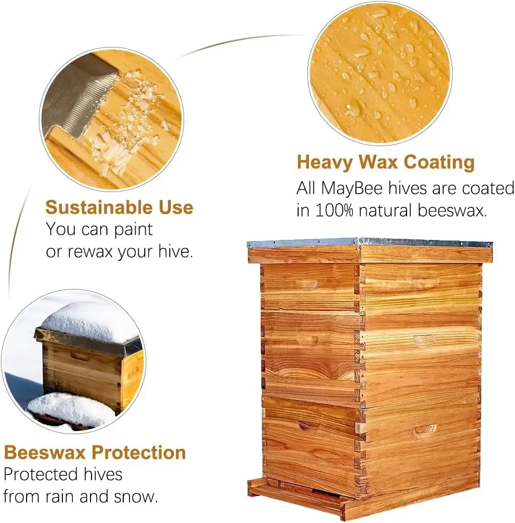 Langstroth 10 Frame Beehive Starter Kit Beeswax Dipped 2 Boxes