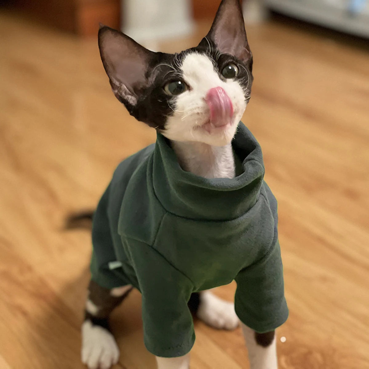 Sphynx Cat Clothes Soft Cotton Hoodies For All Seasons
