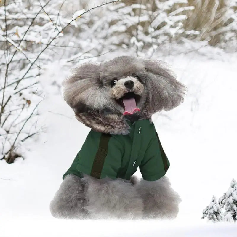 Pet Down Jacket Hoodie Coat For Dogs Warm Winter Outerwear