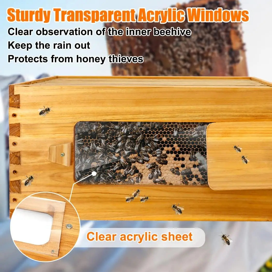 Deep Beehive Box With Window Langstroth, Natural Beeswax