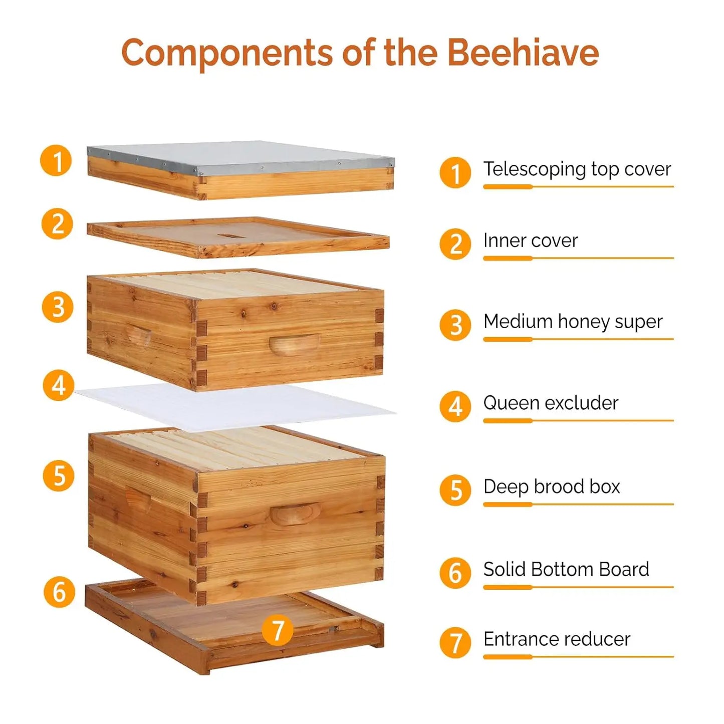 Complete Beehive Kit With Waxed Frames And Foundations
