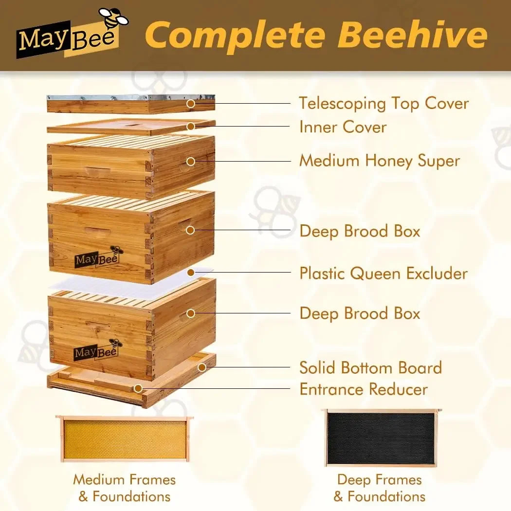 Langstroth 10 Frame Beehive Starter Kit Beeswax Dipped 2 Boxes