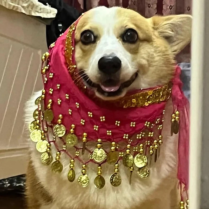Dog Belly Dance Hip Belt With Secure Waist Chain Accessory