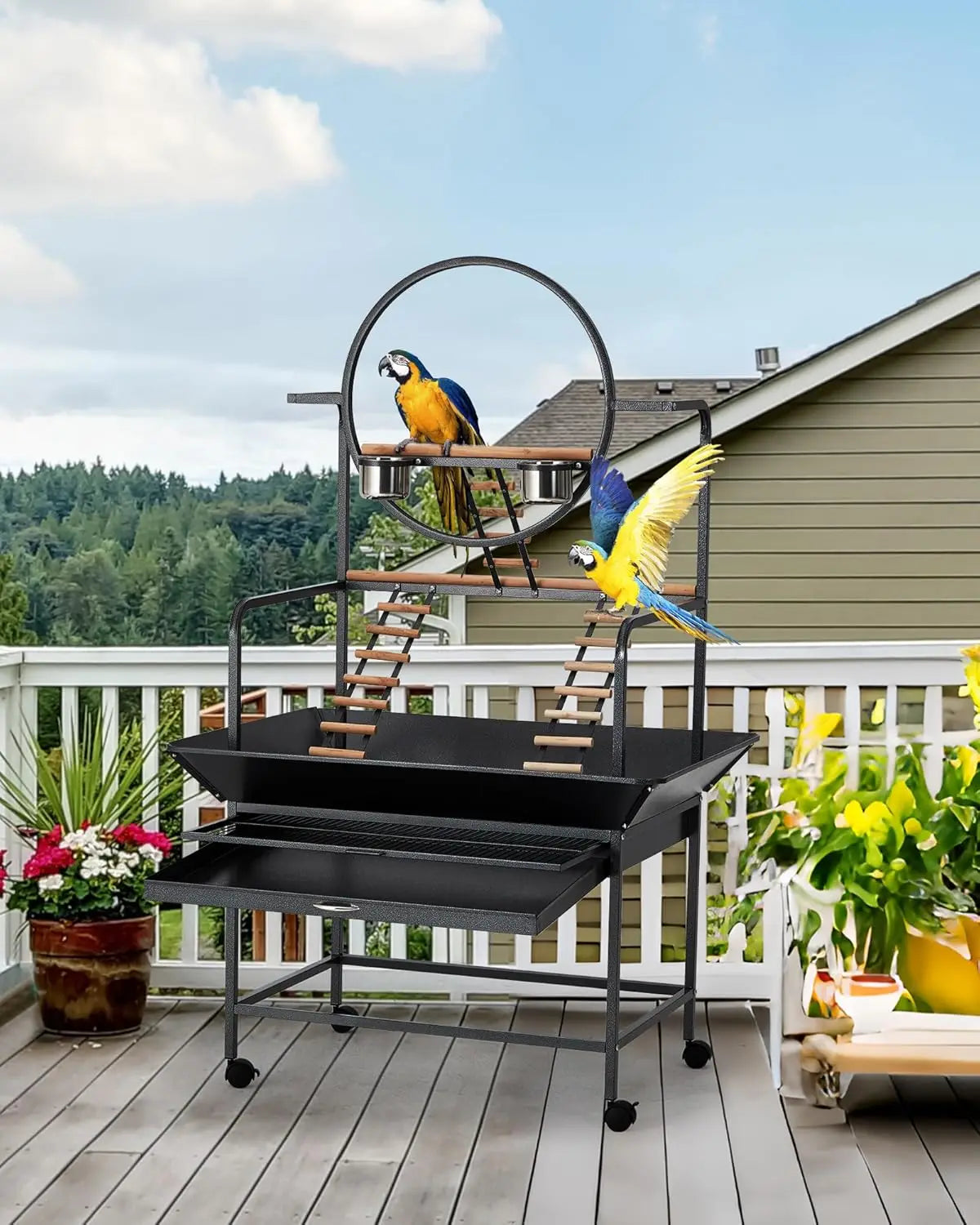 HiMISSCN Parrot Play Stand With Lockable Wheels Heavy Duty Metal