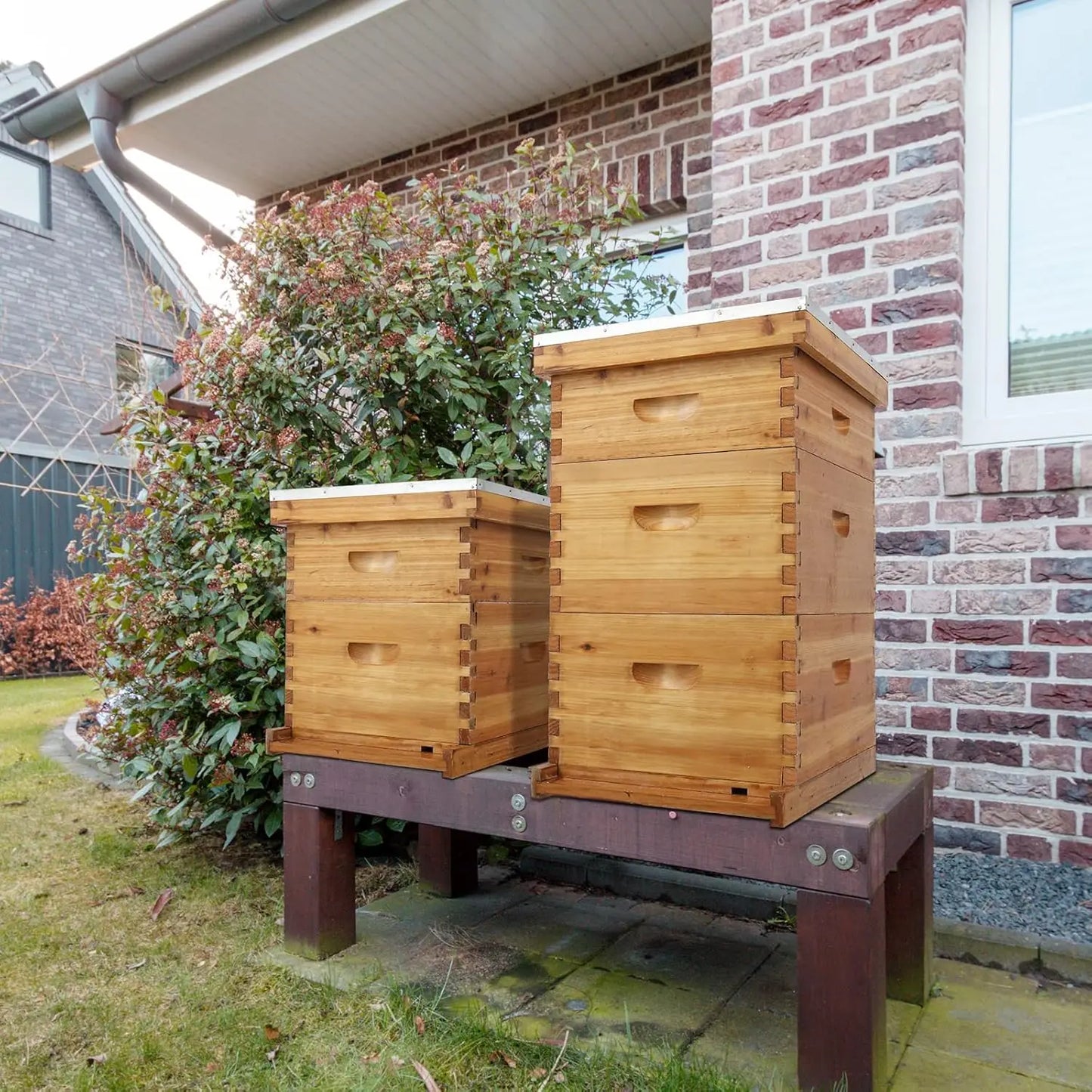 Complete Beehive Kit With Waxed Frames And Foundations