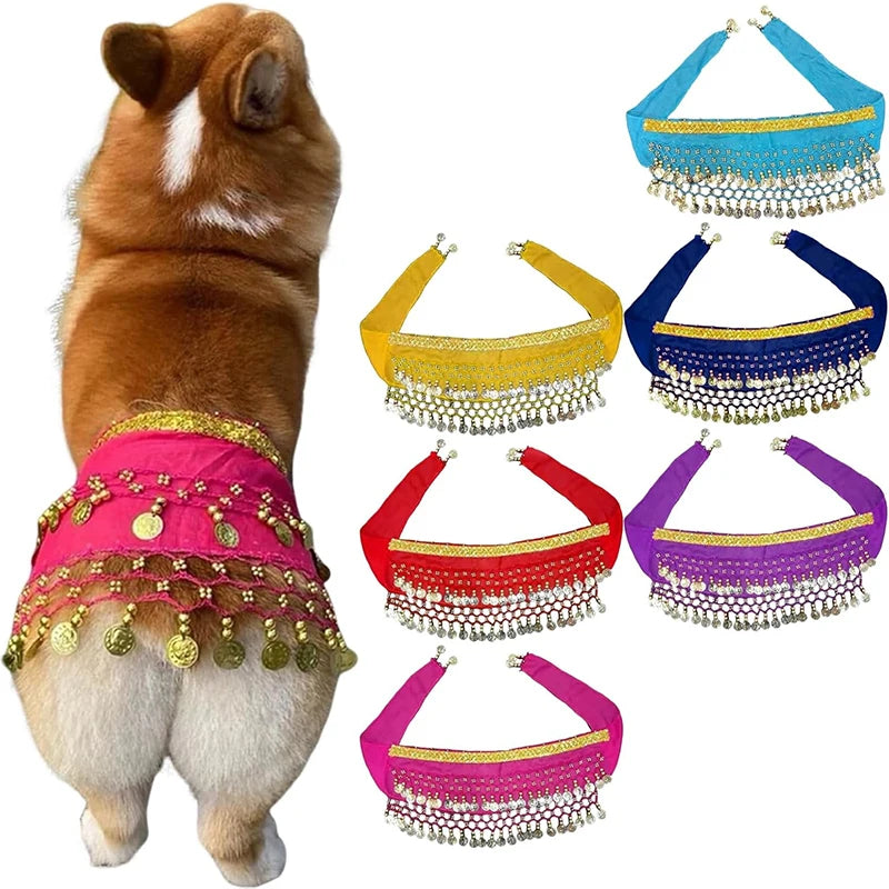 Dog Belly Dance Hip Belt With Secure Waist Chain Accessory