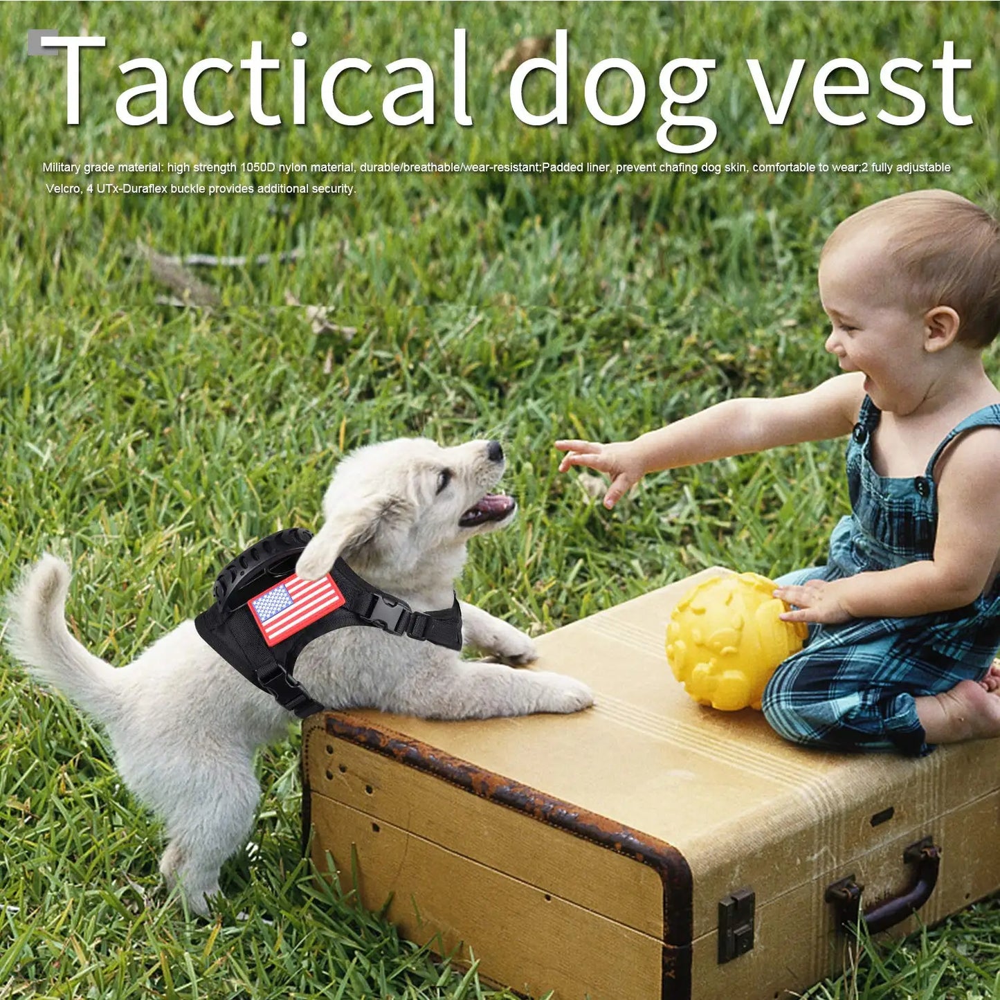 PETRAVELCN Tactical Puppy Harness Leash Set For Small Dogs Adjustable