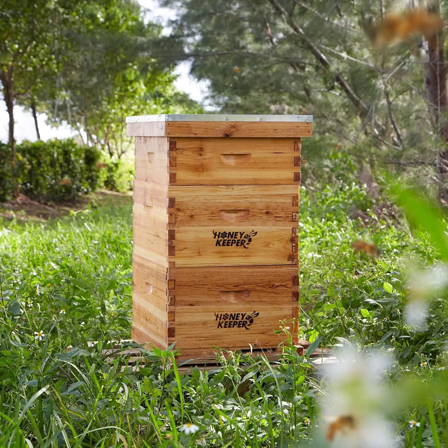 Beehive 10 Frame Complete Waxed Box Kit With Wooden Frames