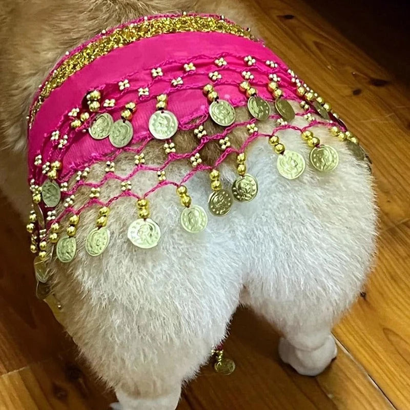 Dog Belly Dance Hip Belt With Secure Waist Chain Accessory