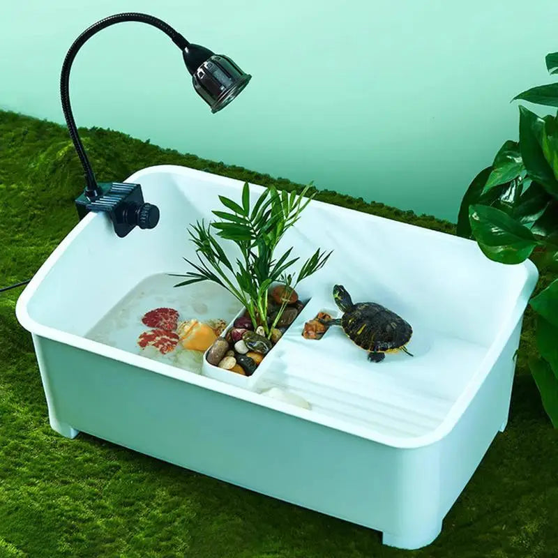 Liilaimic Turtle Aquarium Starter Kit With Open Air Design