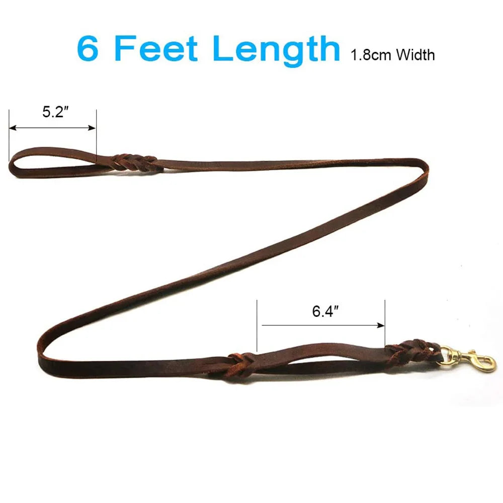 Braided Leather Dog Leash With Traffic Handle And Two Handles