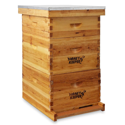 Beehive 10 Frame Complete Waxed Box Kit With Wooden Frames
