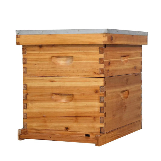 Complete Beehive Kit With Waxed Frames And Foundations