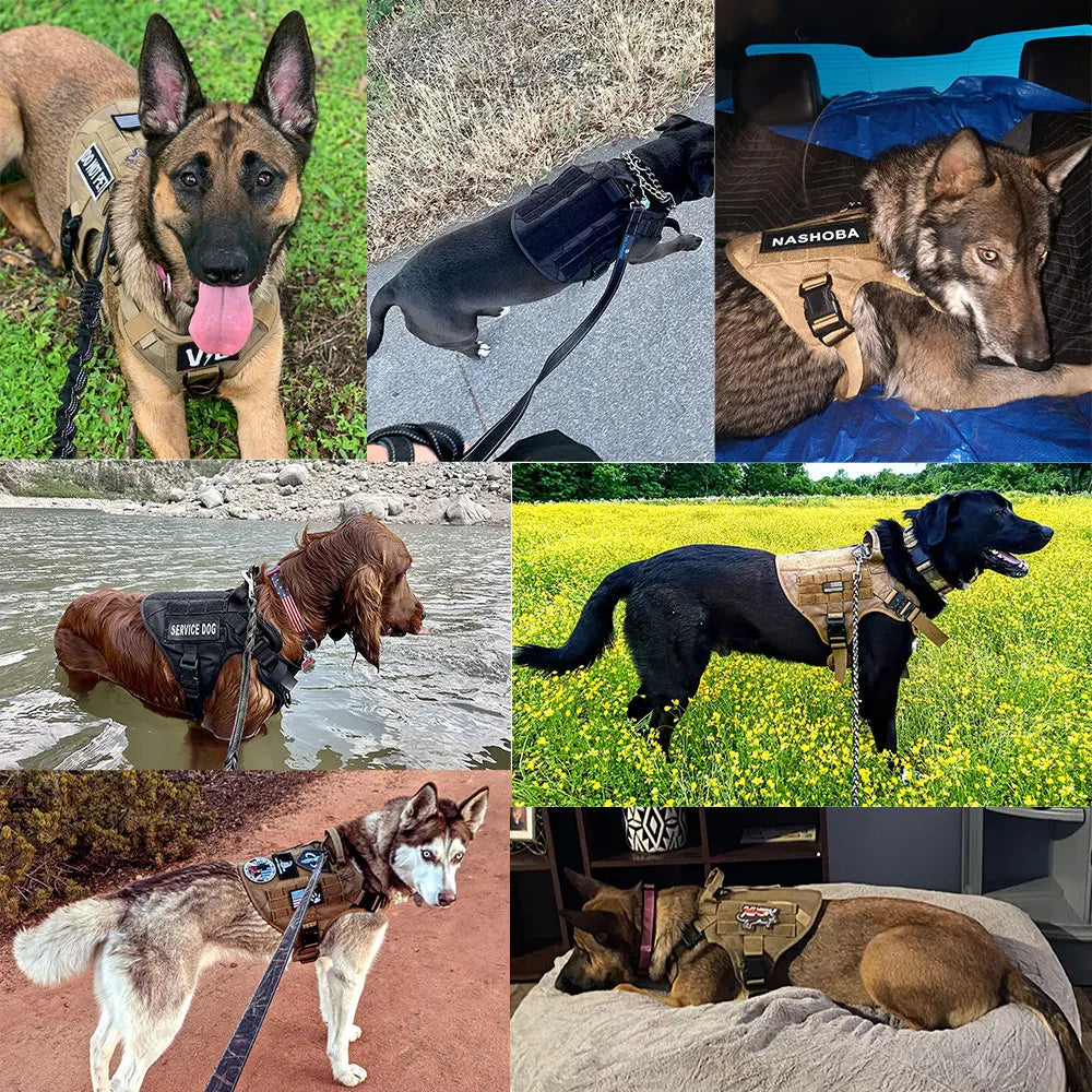 PETRAVELCN Military Large Dog Harness Vest Leash Patches Set