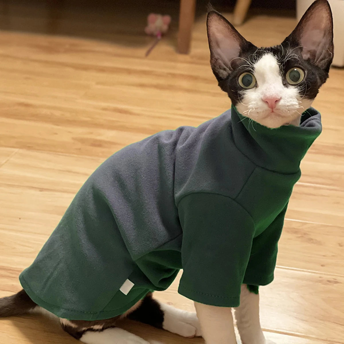 Sphynx Cat Clothes Soft Cotton Hoodies For All Seasons