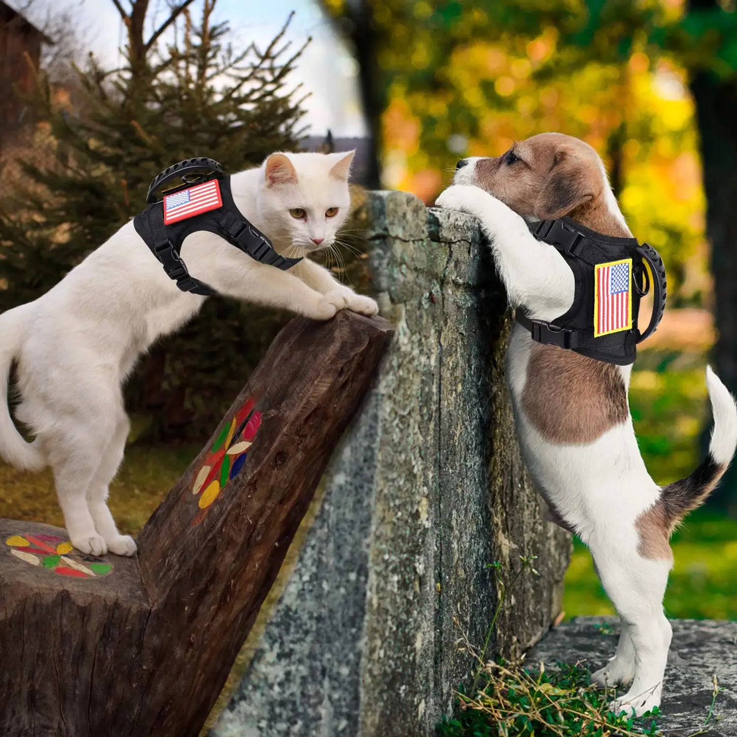 PETRAVELCN Tactical Puppy Harness Leash Set For Small Dogs Adjustable